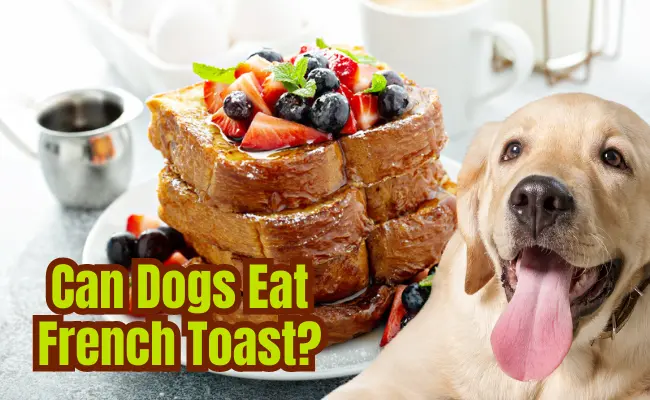 Can Dogs Eat French Toast?