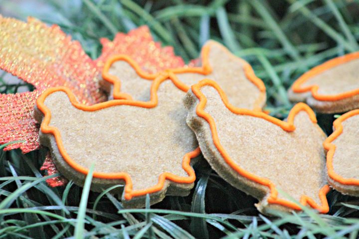 Let your dog celebrate with the family in a safe way with this delicious and cute Thanksgiving hypoallergenic dog treat recipe!